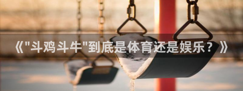 熊猫体育app官方入口