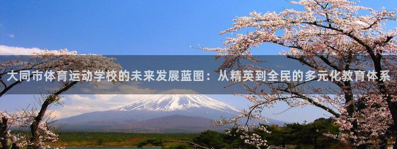 中山熊猫体育
