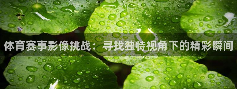 熊猫体育官方网站