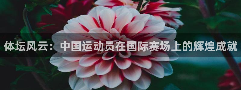 下载熊猫体育