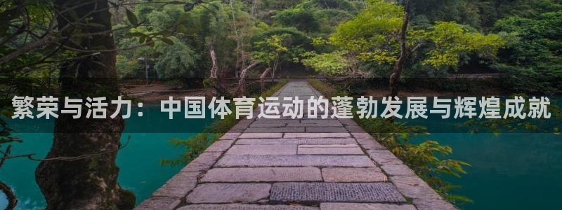 熊猫体育手机版下载