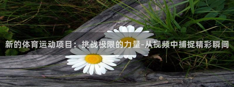 熊猫体育文化有限公司