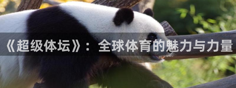 熊猫体育平台官网