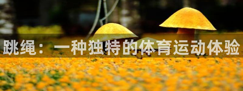 熊猫体育平台