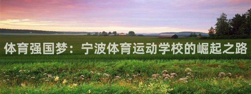 熊猫体育在线