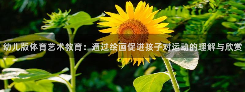 熊猫体育比赛直播