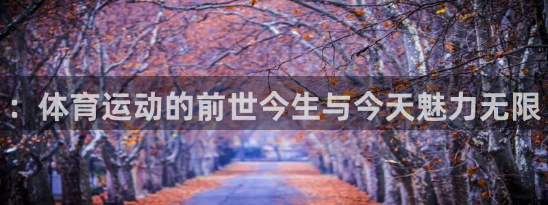 熊猫体育app官网入口