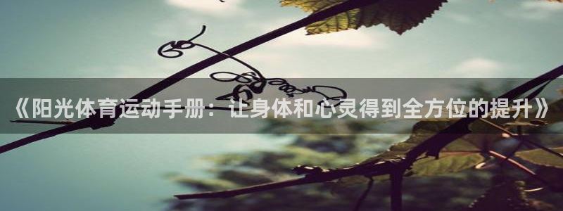 熊猫体育怎么样