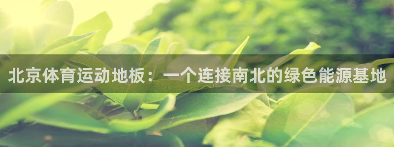 动感熊猫体育公园