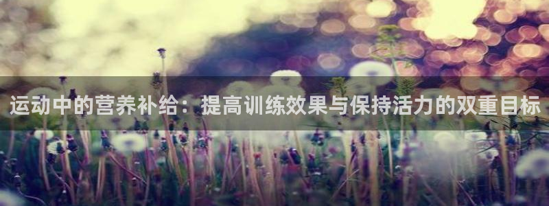 熊猫体育文化有限公司
