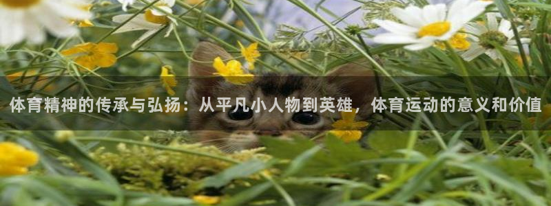 熊猫体育免费下载
