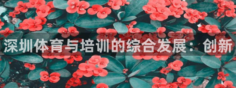 动感熊猫体育公园