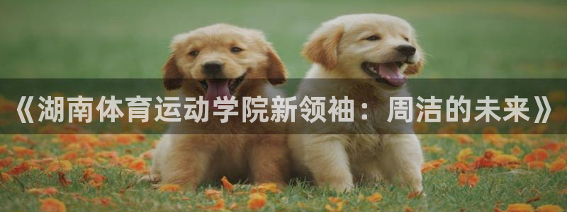 熊猫体育文化有限公司
