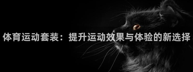 熊猫体育在线