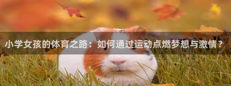 熊猫体育公园价格