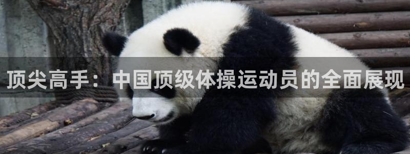 熊猫体育v3.新网页.org